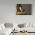 thumbnail image 3 of Trademark Fine Art 'Ready For The Hunt Barn Owl' Canvas Art by Wilhelm Goebel, 3 of 3