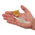 thumbnail image 2 of Berkley Skirted Riveter, 3/8 oz, White + Gold, 2 of 4
