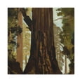 thumbnail image 1 of Redwood's Eternal Splendor - Canvas, 1 of 10
