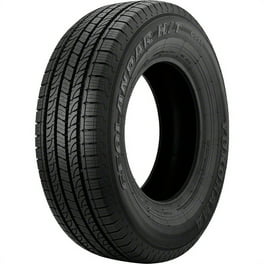 Maxxis Bravo HP-M3 255/40ZR18 99W Tire - Walmart.com