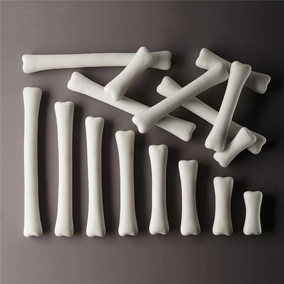 Dinosaur Bones Match & Measure Set