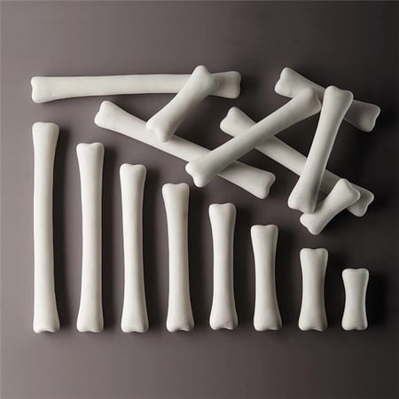 Dinosaur Bones Match & Measure Set price history on PriceWatchPro