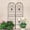 Black + Iron#744, variant on Birdcage Metal Garden Arch 81.3W x 114.2H Iron Arbor Gazebo for Wedding Ceremony Outdoor Black Pergola Pavilion with Gate