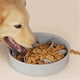 thumbnail image 4 of Dog Slow Feeder Bowl Silicone Slow Feeder -Bowl Dog Food Bowls Slow Pet Eating Bowl Prevent Choking Bowl, 4 of 5
