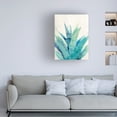 thumbnail image 3 of Albena Hristova 'Cool Aloe' Canvas Art, 3 of 3