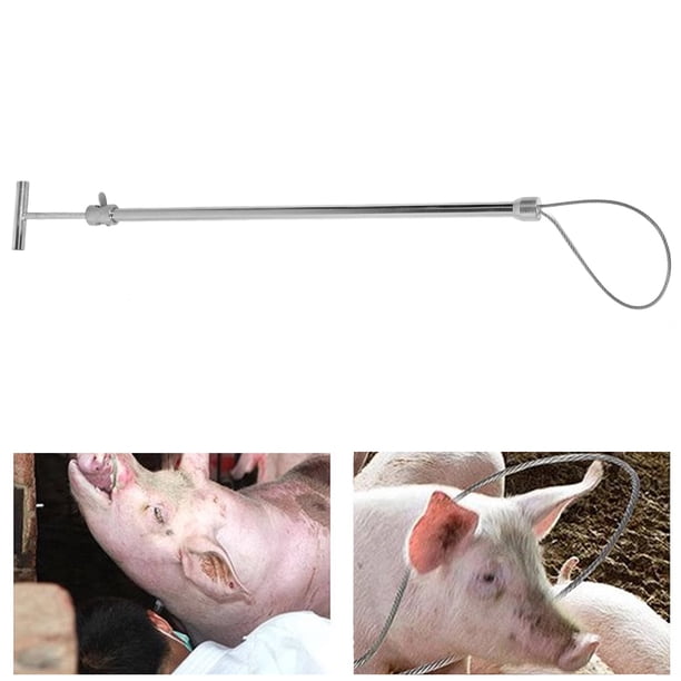 Poste Para Atrapar Perros, Poste Para Atrapar Cerdos, Cuerda De Alambre De Espesor, Estirable, Seguro Y Eficiente Para Ganado