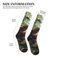 thumbnail image 2 of Picia Jungle Hat Bear Printed Sports Compression Socks - 15-20mmHg Graduated Compression, High-Performance Soft and Breathable Socks for Men and Women, 2 of 5