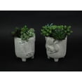 thumbnail image 3 of Gerson Gray Concrete Cow and Pig Barnyard Animal Planters 8 inch (Set of 2), 3 of 4