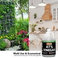 MILX 47 Vinegar, Extra Strength Industrial Grade Concentrate, Gallon