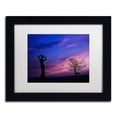 thumbnail image 2 of Trademark Fine Art "Dance for Me" Canvas Art by Philippe Sainte-Laudy, White Matte, Black Frame, 2 of 4