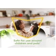 thumbnail image 4 of Raid Essentials Ant & Roach Killer 29, Essential Oil Insecticide with Trigger Spray, 12 oz, 4 of 9