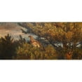 thumbnail image 3 of Bruno Liljefors 14x8 Black Modern Framed Museum Art Print Titled - Female Capercaillie (1893), 3 of 5