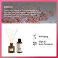 thumbnail image 4 of PRISTINE Sakura Diffuser Refill with Free Reed Stick | Cherry Blossom Flower Sakura Oil Diffuser & Reed Diffuser Sticks with Essential Oil Reed Diffuser Set | Home & Office | Calming Blend, 4 of 8