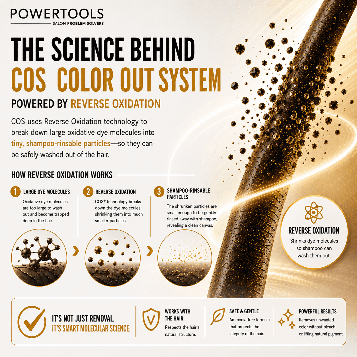 COS, The Original Color Out System | Guaranteed Authentic Original Formula l Safely Remove Semi & Permanent Hair Color | Ammonia Free