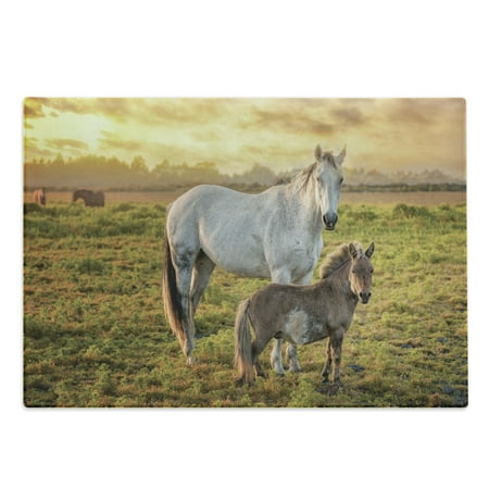 

Animal Cutting Board Horses in a Pasture with Tangerine Tone Sunset Northern California Decorative Tempered Glass Cutting and Serving Board in 3 Sizes by Ambesonne