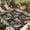 Black Pink, variant on Farmhouse Tiger Outdoor Rug for Patio/Deck/Porch, Non-Slip Large Area Rug 3 x 5 Ft, Summer Watercolor Animals Palm Trees Indoor Outdoor Rugs Washable Area Rugs, Reversible Camping Rug Carpet Runner