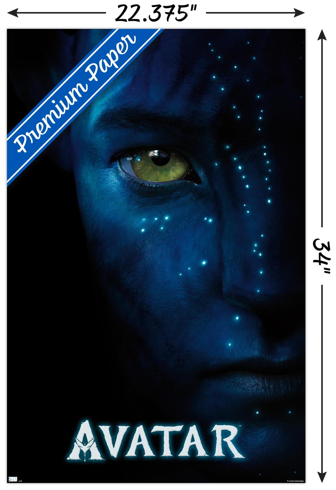 Avatar - Jake Teaser One Sheet Wall Poster, 22.375" x 34"