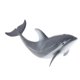 thumbnail image 4 of Simulación De Animales Sunnimix Juguetes Educativos 2x Kids Science Nature, 4 of 8
