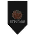 thumbnail image 2 of Halloween Pet and Dog Bandana Rhinestone, "Lil Punkin", 2 of 10