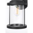 thumbnail image 5 of Elegant Lighting Roy 7 Inch Outdoor Wall Sconce In Black, 5 of 8