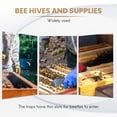 thumbnail image 4 of 12 Pack - Traps for Naturally Catching Small Hive Beetles Bee Hives Without the Use Of Any Chemicals or, 4 of 8