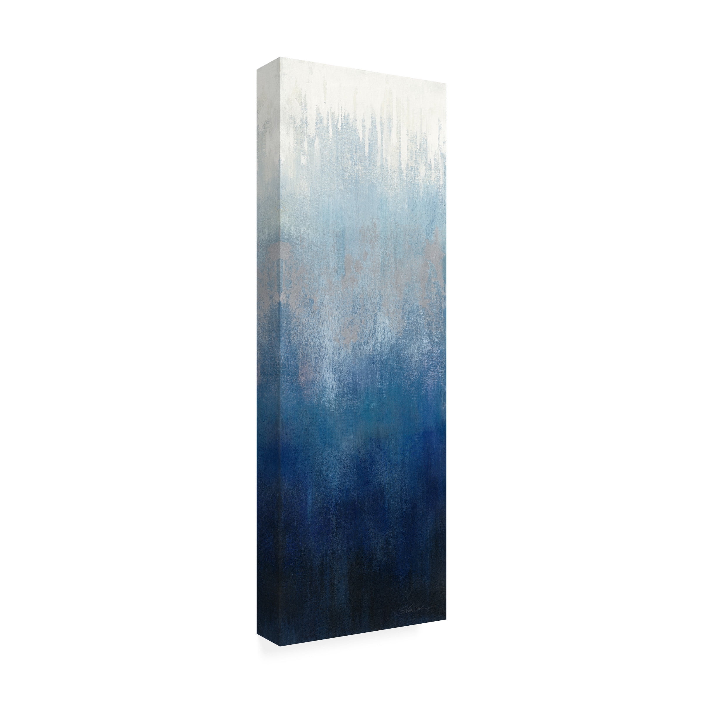 Silvia Vassileva 'Silver Wave I' Canvas Art