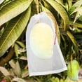 thumbnail image 5 of Fruit Protection Bags for Fruit Trees, 50pcs 6x10 Inch Nylon Mesh Garden Netting Bags Against Bugs Birds Squirrels, Cover Plants Flowers, 5 of 7