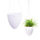 thumbnail image 5 of Maceta colgante en forma de huevo con depósito de riego automático | Maceta moderna para suculentas y hierbas | Maceta de plástico para interior y exterior con cadena, 5 of 6