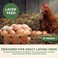 thumbnail image 3 of Alimento para Gallinas Ponedoras New Country Organics Sin Soya 4.5 kg, 3 of 7