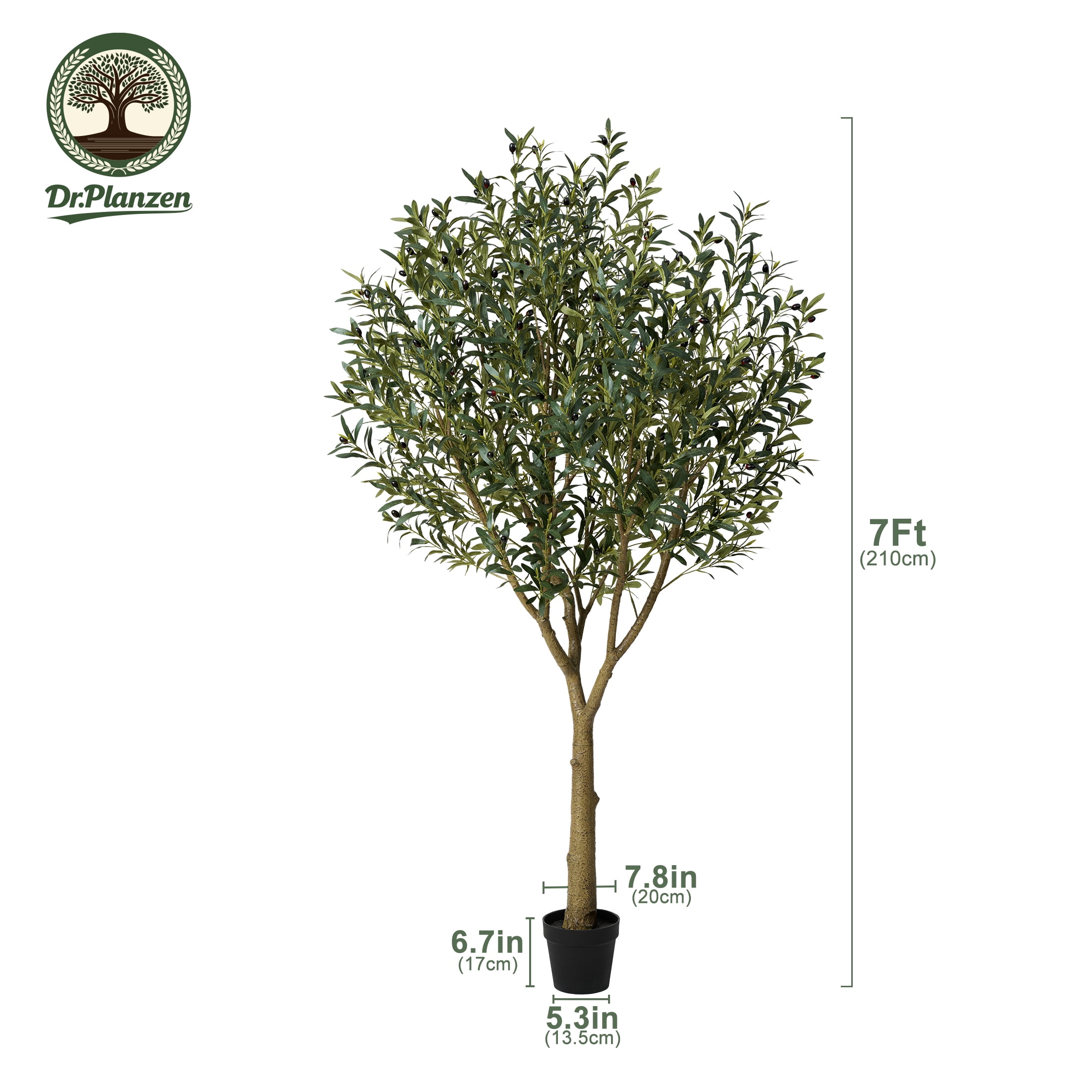 DR.Planzen 7ft Dense Artificial Olive Tree - Faux Olive Plant for Indoor & Outdoor Decor - Adjustable Branches - UV Resistant Realistic Olive Tree with Black Plastic Pot