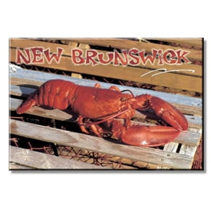 POSTCARD FACTORY AIMANT