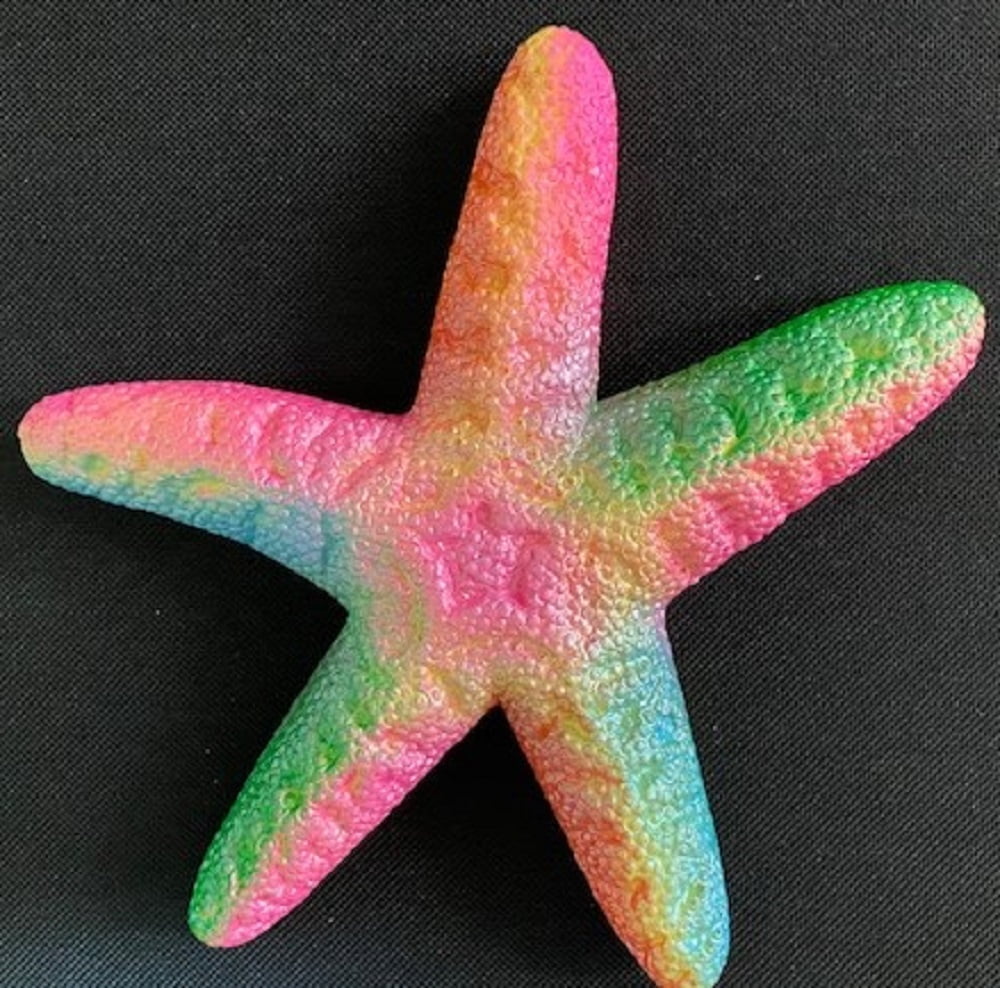 starfish squishy