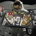 thumbnail image 5 of 3D Maine Coon Cat Family Car Auto Sunshades Windshield Heat Protection, Pet Cat Sun Shades Univeral Fit Cars Suv Truck, 5 of 6