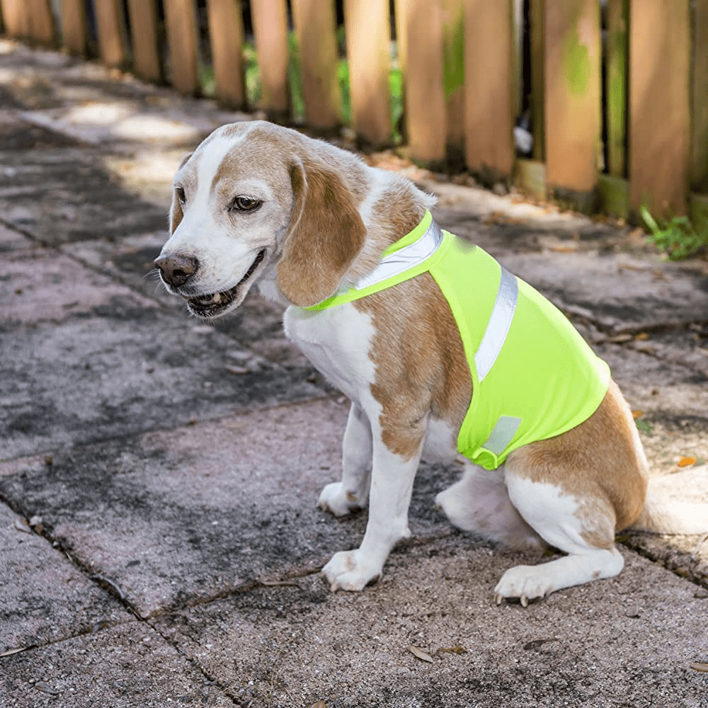Dog hunting safety vest discount