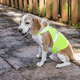 thumbnail image 5 of Chaqueta para perros Chaleco reflectante de seguridad de alta visibilidad para perros pequeños, medianos y grandes, 5 of 5