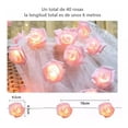 thumbnail image 3 of Cadena De Luz Decorativa Led Flor Rosa,6m 40led Uso De Pilas Pamolo Impermeable, 3 of 6
