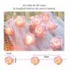 thumbnail image 3 of Cadena De Luz Decorativa Led Flor Rosa,6m 40led Uso De Pilas Pamolo Impermeable, 3 of 6