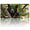 Black Bear, variant on 1 Pcs 2D Flat License Plate Covers & Frames, Black Bear For Decorative Front, Waterproof For Decoration Aluminum License Plate Covers & Frames Cover For Men Women, 12" X 6"