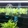 thumbnail image 2 of Alician Co2 Diffuse Checker Aquarium Equipment Monitor Detector Fish Tank Aquarium Accessories, 2 of 9