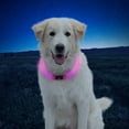 thumbnail image 4 of Nite Ize Howl Led Safety Necklace, Universal, Reusable Visibility Necklace For Pets, Pink, One Size Fits All, 4 of 6