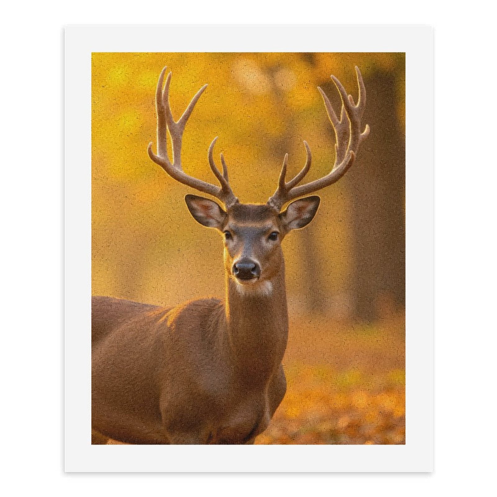 Paint by Numbers Kit for Adults, Majestic Deer Autumn Forest Scene Paint by Numbers, Easy Paint by Numbers Kit for Adults Beginner, DIY Adult Paint by Number Kits on Canvas, Home Decor