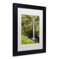 thumbnail image 3 of Chris Moyer 'Akaka Falls' Matted Framed Art, 3 of 4