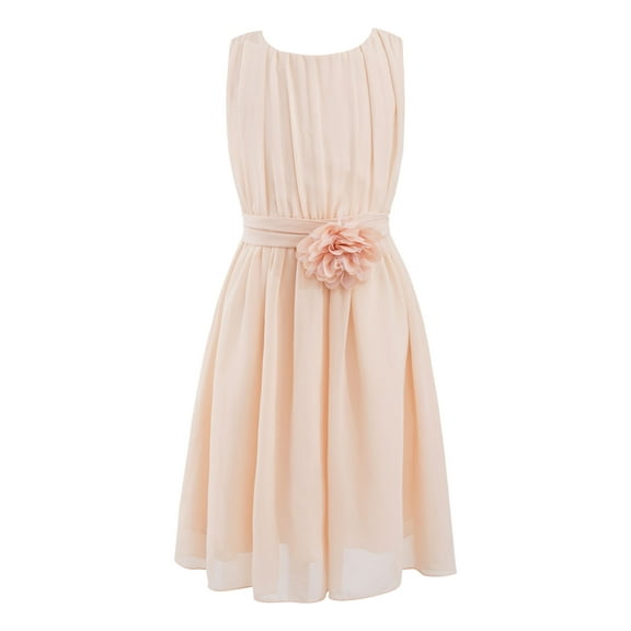 iEFiEL Kids Flower Girls Chiffon Dress Ruched Neckline Ball Gown Juniors Bridesmaid Dress Pink 14
