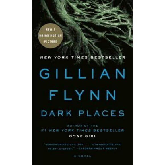Pre-Owned Dark Places (Paperback 9780307341570) by Gillian Flynn