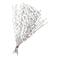 thumbnail image 1 of Tallos de Simulación de pistacho Macarena Simulación de pistacho ramo decorativo Blanco, 1 of 8