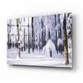 thumbnail image 2 of Epic Art 'White Muslin' by Philippe Sainte-Laudy, Acrylic Glass Wall Art, 16"x12", 2 of 8