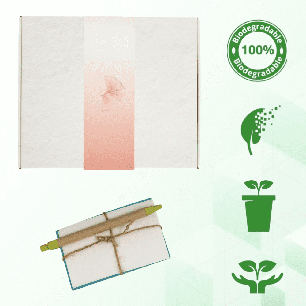 Biodegradable Urn for Human Ashes, Eco-Friendly Urn for Water or Earth Burial, Includes Water Soluble Ash Bag, Adult Size 3" H x 12" W x 14" L. (ANGEL GINKGO)