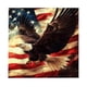 thumbnail image 2 of Independence Day Holiday Party Celebration Shower Curtain Bathroom Partition Decoration Hanging Curtain, 2 of 6