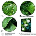 thumbnail image 3 of Designart "Charm Of Realistic Greens" Violets Floater Framed Wall Art Living Room, 3 of 5
