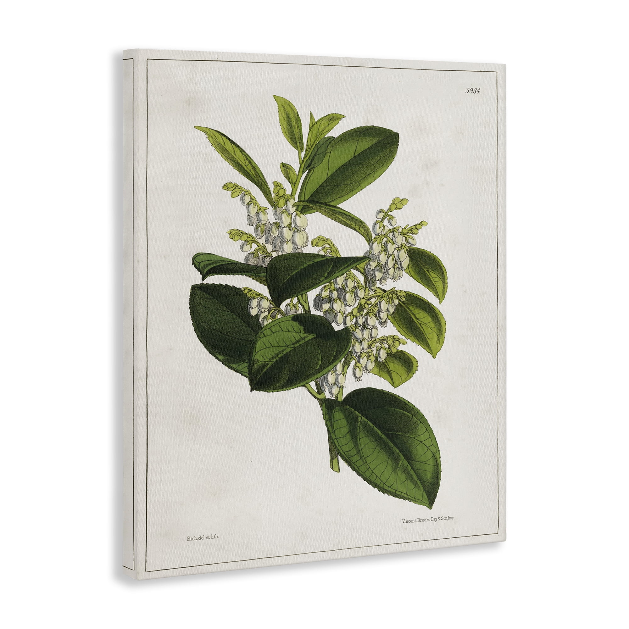 Stupell Industries Forest Nature Botanical Plants & Flowers Painting Wrapped Canvas Art Print Wall Art, 36 x 48
